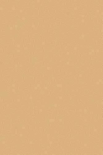 Shaggy Comfort 1 Ковры с длинным ворсом в доме издревле считались символом роскоши и богатства. Цена указана за 1кв/м
